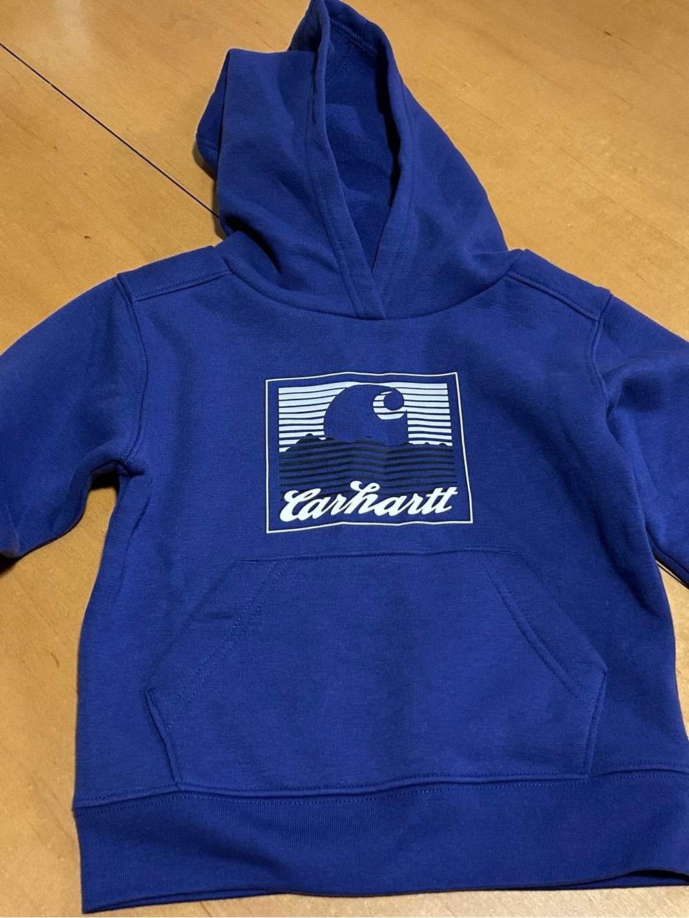 Carhartt Kids Royal Blue Hooded Pullover with Graphic Logo